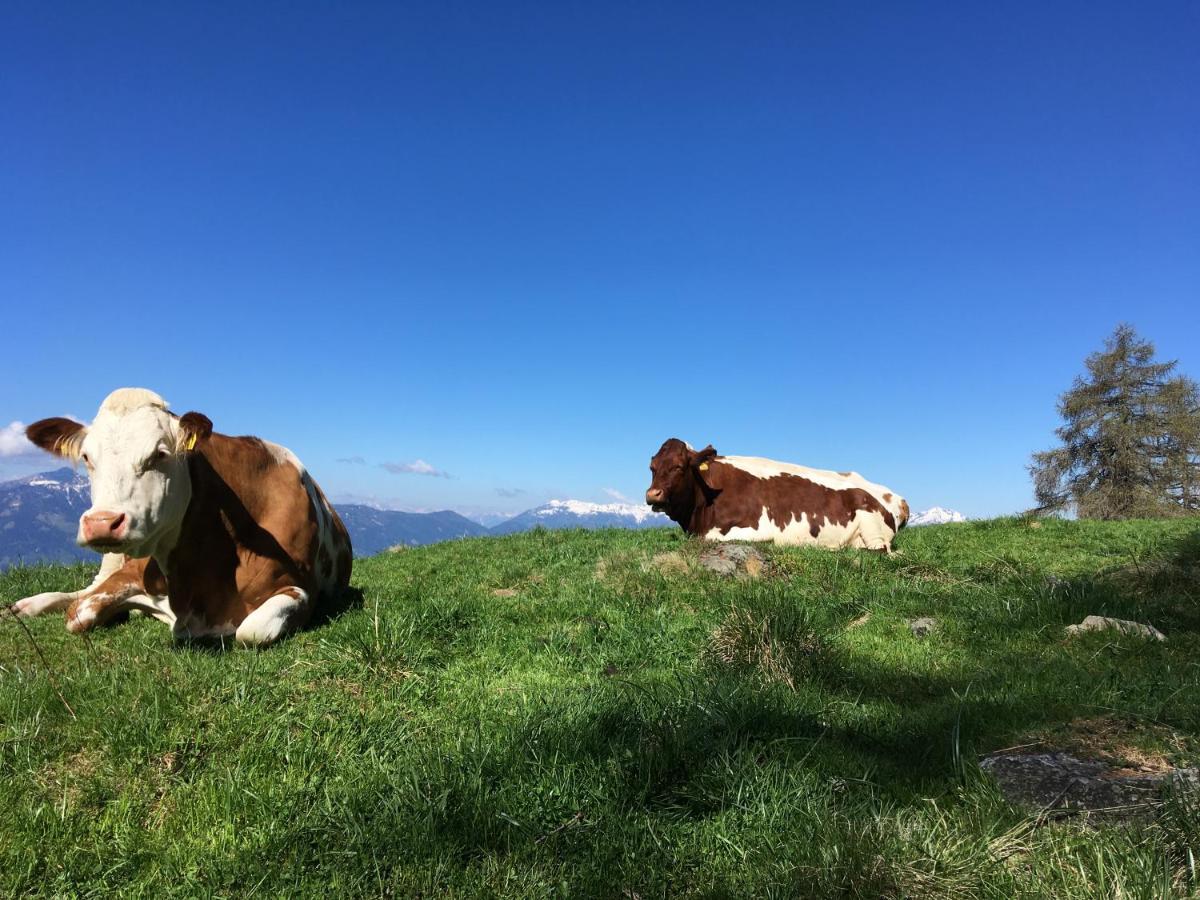 Appartement Zirbenduft Ferienhaus Fuenf Sinne Dobriach Bagian luar foto