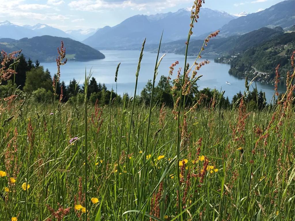 Appartement Zirbenduft Ferienhaus Fuenf Sinne Dobriach Bagian luar foto